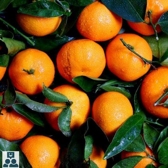 Sinaasappels met stok - Ik Wil Therapie