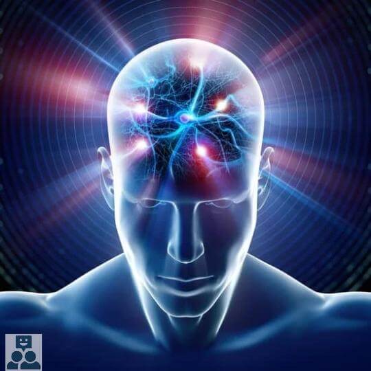 Onze hersenen en de energieconsumptie - Ik Wil Therapie