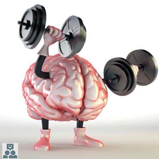 Onze hersenen gebruiken 20% van onze energie, op de afbeelding zijn menselijke hersenen bezig met krachttraining - Ik Wil Therapie -