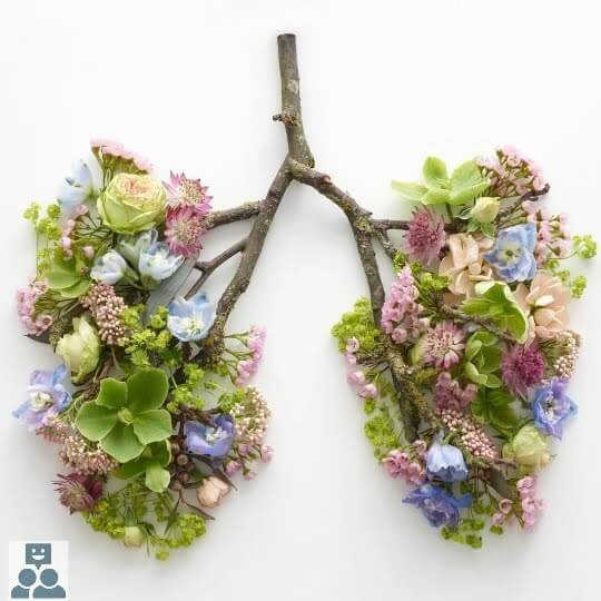 Astma, een foto van een tak in de vorm van menselijke longen met bloemen