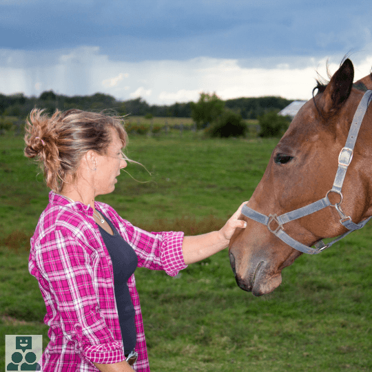 Paardencoching, vrouw in paar met wit geruite blouse aait het hoofd van een groot paard.