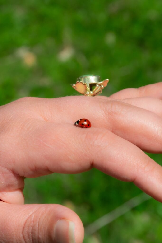 Holistisch-Coach-1_resultaat