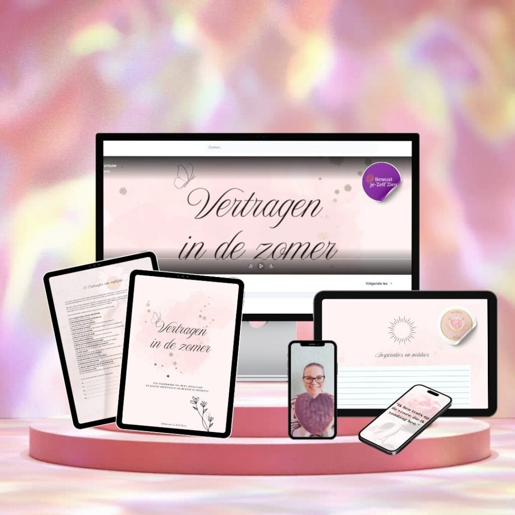 Mock-up-VidZ